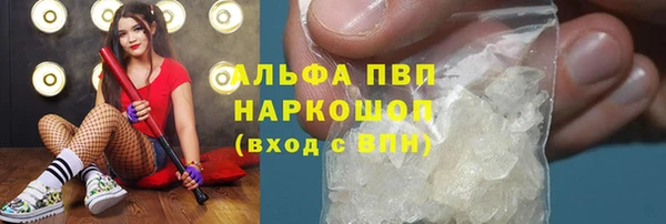 стаф Богородицк