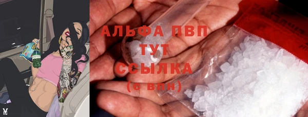 стаф Богородицк