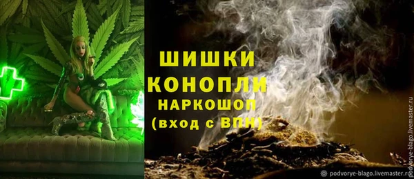 ПСИЛОЦИБИНОВЫЕ ГРИБЫ Богородск