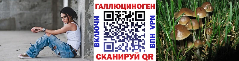 Купить где  Павлово  Галлюциногенные грибы ЛСД 